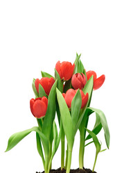 Similar image 1313122