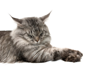 Similar image 1313126