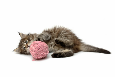 Similar image 1313130