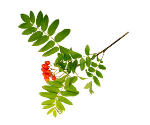 Similar image 1313133