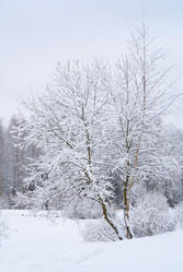 Similar image 1313136