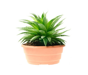 Similar image 1313142