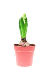 Similar image 1313145