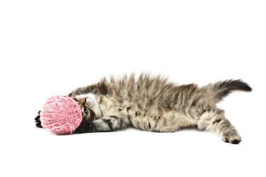 Similar image 1313146