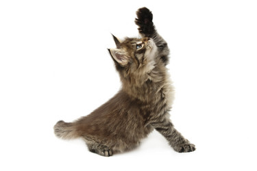 Similar image 1313150