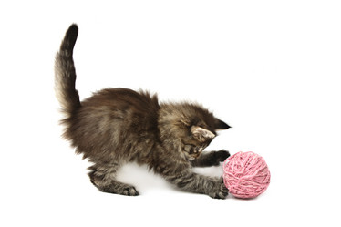 Similar image 1313151