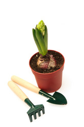 Similar image 1313152