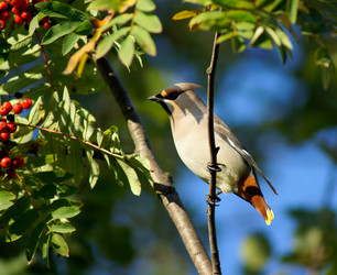 Similar image 1313154