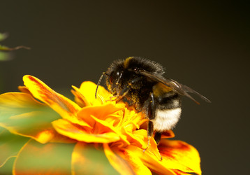 Similar image 1313155