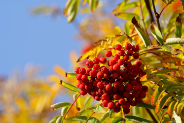 Similar image 1313158