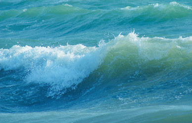 Similar image 1313159