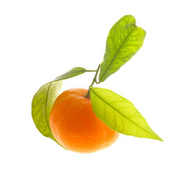 Similar image 1313160