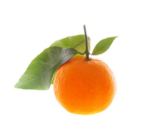 Similar image 1313161