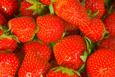 Similar image 1313167