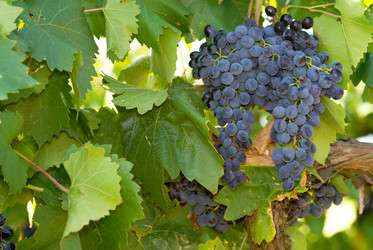 Similar image 1313169