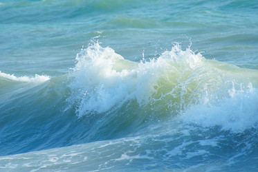 Similar image 1313170