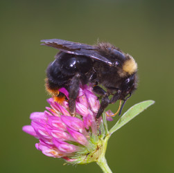 Similar image 1313173