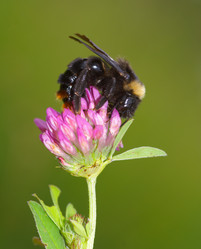 Similar image 1313181