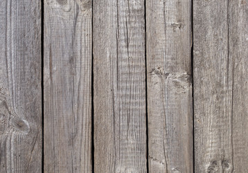 Similar image 1313183