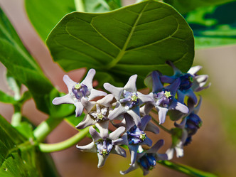 Similar image 1313191