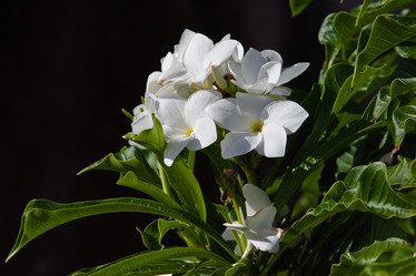 Similar image 1313195