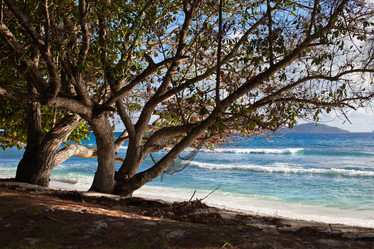 Similar image 1313196