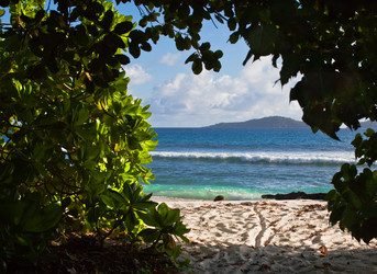 Similar image 1313197