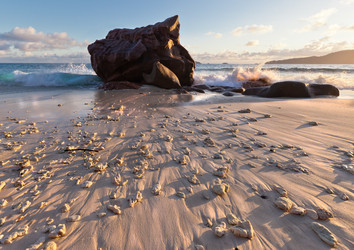 Similar image 1313199