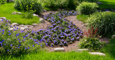 Similar image 1313202