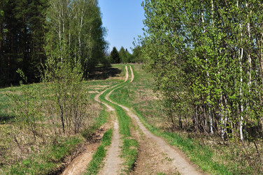 Similar image 1313203