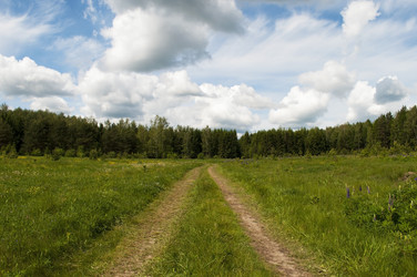 Similar image 1313204