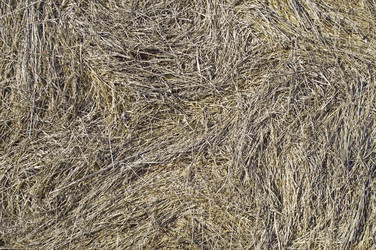 Similar image 1313208