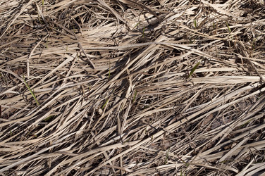 Similar image 1313210