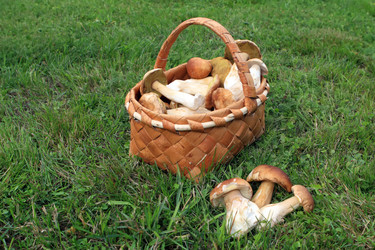 Similar image 1313220