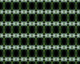 Similar image 1313289