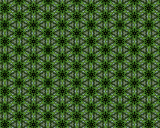 Similar image 1313290