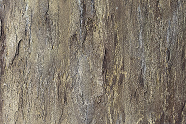 Similar image 1313297