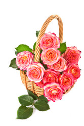 Similar image 1313324