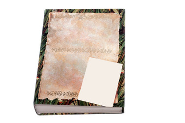 Similar image 1313342