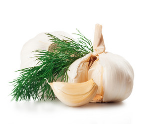 Similar image 1313486