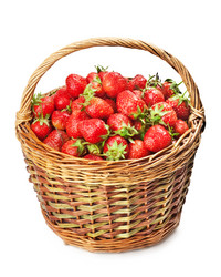 Similar image 1313488