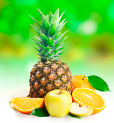 Similar image 1313509