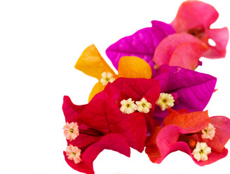 Similar image 1314241