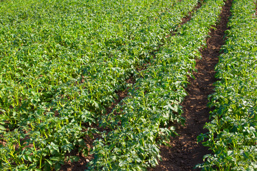 Similar image 1314466