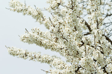 Similar image 1314467