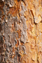 Similar image 1314553