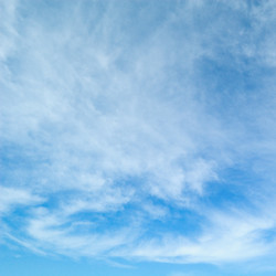 Similar image 1314806