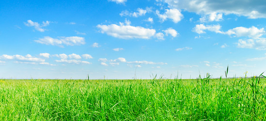 Similar image 1314810