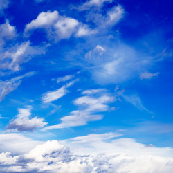 Similar image 1314811