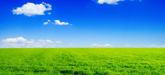 Similar image 1314813